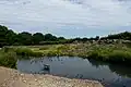 Environnement de toundra reconstitué