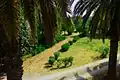 Jardin botanique de Tunis