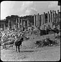 Vue ancienne du théâtre.