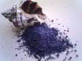 Pigment obtenu à partir d'Hexaplex trunculus.