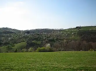 Tupanci