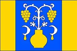 Drapeau de Tupesy