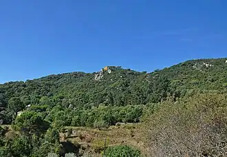 Turò de Céllecs.