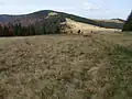 Turbacz et Hala Długa ("l'alpage long")
