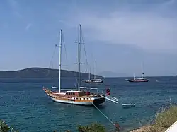 Goélettes de type goélette près de Bodrum