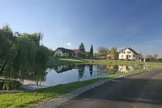 Turkovice