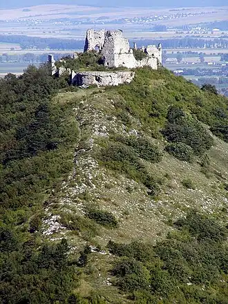 Ruines du château de Torna