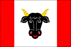 Drapeau de Turovice