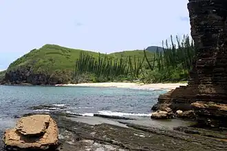 Vue sur la plage