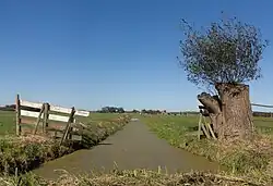 Le fossé dans le polder entre Ameide et Meerkerk