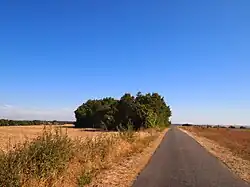 Tumulus de la Justice.