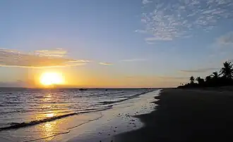 Tutóia