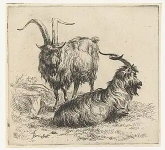 Deux Chèvres.