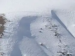 Plan large sur une montagne enneigée avec deux panthères des neiges traversant la neige