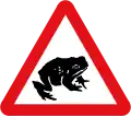 Crapauds migrateurs