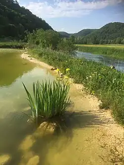 Il y a environ 40&nbsp;000&nbsp;ans, des humains s'établissent à Hohle Fels.