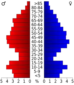 Schéma représentant la population du comté, par tranche d'âge. En rouge, à gauche, les femmes, en bleu à droite, les hommes.