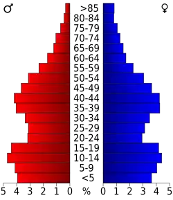 Schéma représentant la population du comté, par tranche d'âge. En rouge, à gauche, les femmes, en bleu à droite, les hommes.