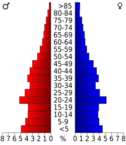 Pyramide des âges.