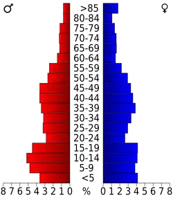 Pyramide des âges.