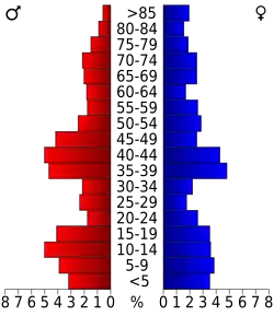 Pyramide des âges.