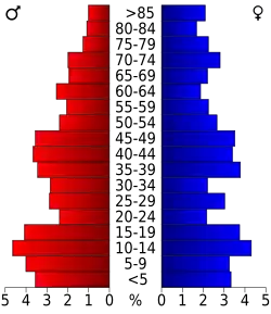 Pyramide des âges.