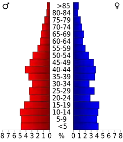 Pyramide des âges.
