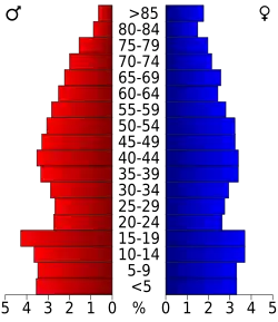 Schéma représentant la population du comté, par tranche d'âge. En rouge, à gauche, les femmes, en bleu à droite, les hommes.