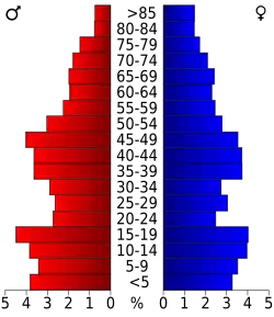 Schéma représentant la population du comté, par tranche d'âge. En rouge, à gauche, les femmes, en bleu à droite, les hommes.