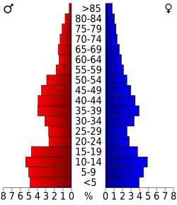 Pyramide des âges.