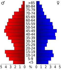 Pyramide des âges.
