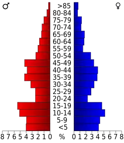 Schéma représentant la population du comté, par tranche d'âge. En rouge, à gauche, les femmes, en bleu à droite, les hommes.