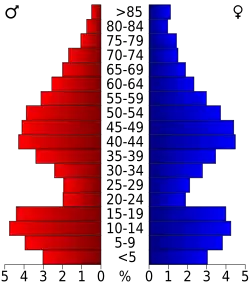 Schéma représentant la population du comté, par tranche d'âge. En rouge, à gauche, les femmes, en bleu à droite, les hommes.