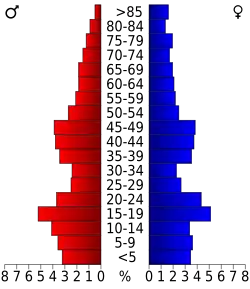 Pyramide des âges.