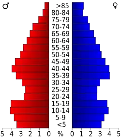 Schéma représentant la population du comté, par tranche d'âge. En rouge, à gauche, les femmes, en bleu à droite, les hommes.