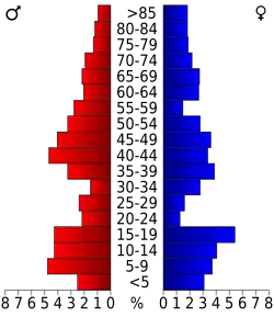 Pyramide des âges.