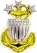 Insigne de col.