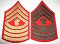 Master gunnery sergeant