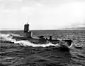 USS Carp