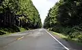 US Route 101.