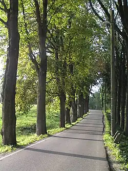 Route à Milíře.