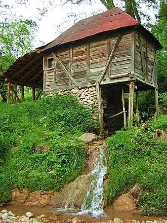 Donja Krćina