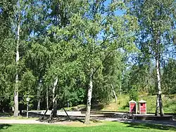 Pataugeoire.
