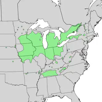 Description de l'image Ulmus thomasii range map 3.png.