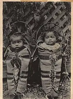 Enfants umatillas dans des porte-bébés sur planches