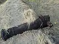 Un des canons brisés.