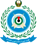 Base aérienne Al Dhafra