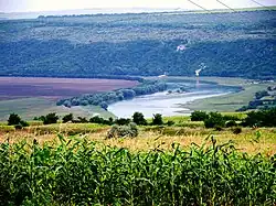 La vallée du Nistre ou Dniestr à Vertujeni.