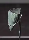 Paléolithique récent. Nucléus à lamelles, H. 32 mm. Site de Seokjangni, Corée du Sud.