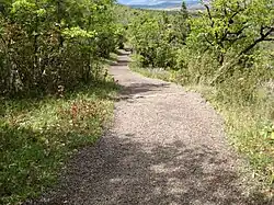 Sentier gravillonné muni de cassis pour l'écoulement des eaux au milieu d'essences d'arbres de type méditerranéen.